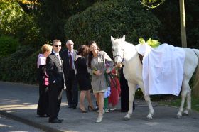 HOchzeit Hasret 19.4.14 020.JPG