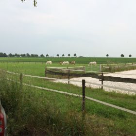 Foto 1.JPGPferde Weide.JPG