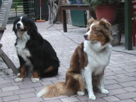 BILD0403.JPG