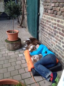 Foto 2.JPGh.JPG