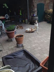 Jeany, Leo, Moonie Hof.jpg